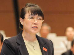 Hội đồng Nhân dân Hà Nội xem xét bãi nhiệm bà Nguyệt Hường