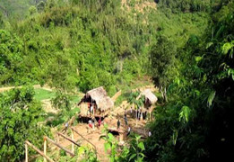 Án mạng rúng động: 4 người trong gia đình bị sát hại dã man ở Lào Cai