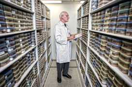 Tham quan ngân hàng não người lớn nhất thế giới