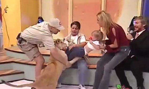 Clip: Sư tử tấn công bé gái ngay trên sóng truyền hình trực tiếp gây sốc