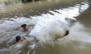 Đi lượm bơ, nhóm học sinh bị đuối nước chết thương tâm