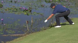 Olympic 2016: Golf thủ cả gan trêu cá sấu khủng
