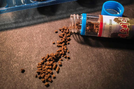 Các nhà khoa học Mỹ mổ xẻ ‘thần dược’ phòng the của Triều Tiên