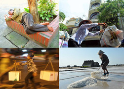 Đừng chờ tới Vu Lan mới dành cho mẹ cha một bông hồng cài áo