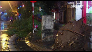 Mưa lớn, Hà Nội ngập sâu, cây đổ