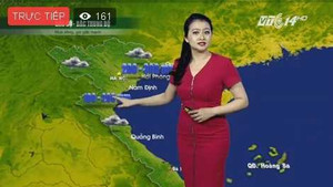 Bản tin đặc biệt bão số 3