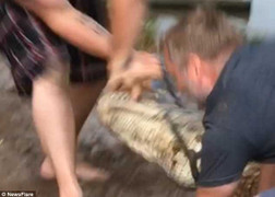 Cá sấu dài gần 2m cắn đứt ngón tay người huấn luyện