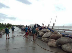 Bão số 3 Thần Sét: Thực tế nhẹ hơn dự báo