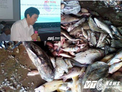 Đánh giá môi trường biển miền Trung: Chuyên gia quốc tế nói gì?