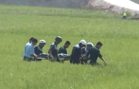 Tình tiết mới nhất vụ máy bay L39 rơi ở Phú Yên