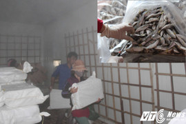 4.000 tấn hải sản tồn kho sau sự cố cá chết hàng loạt ở miền Trung