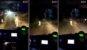 Thanh niên lái xe đạp lượn lờ cản đường ôtô và cái kết 'đắng'