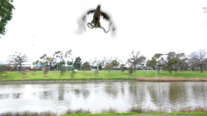 Hoảng hồn rắn từ trên trời rơi xuống làm náo loạn bữa tiệc gia đình