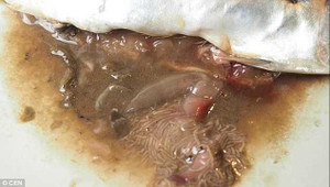 Kinh hãi phát hiện sán bò lúc nhúc trong cá tươi mua ở siêu thị