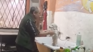 Clip cụ ông vừa tắm cho chó vừa nhảy múa thu hút 4,4 triệu views