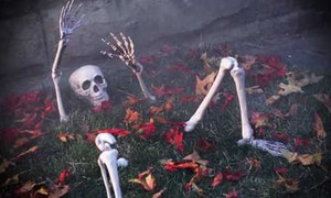 Sốc với những đồ vật kỳ quái đào được trong vườn nhà