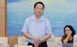 Quan chức Quốc hội: Phạm Công Danh gây thất thoát bằng 300 năm miễn thuế đất cho dân