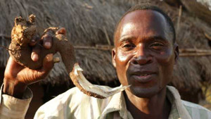 Hủ tục kỳ quái: thuê người đưa con gái 