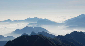 Choáng ngợp trước cảnh tượng 