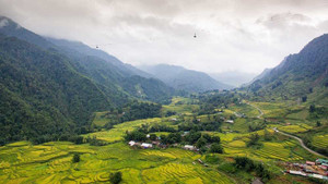 Đẹp ngỡ ngàng Fansipan mùa lúa chín