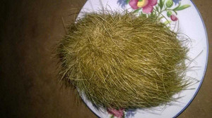 Tìm thấy 'cát lợn' đồn thổi giá tiền tỷ ở Đắk Lắk