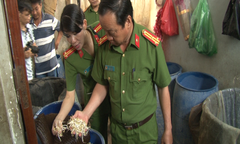 Một cơ sở dùng hóa chất lạ làm giá đỗ