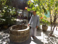 Bí ẩn kho vàng khổng lồ chôn dưới gốc cây chùa Hoa Tiên