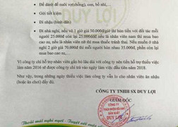Công ty võng xếp Duy Lợi chi tiền cho nhân viên 'chăm lo bồ nhí, thuê nhà nghỉ'