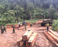 Bất chấp lệnh cấm của Thủ tướng, lâm tặc vẫn hoành hành ở Đắk Lắk