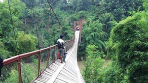 Sập cầu treo, hàng chục giáo viên và học sinh rơi xuống sông mất tích