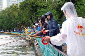 Ốc tuyệt chủng và chuyện người cảnh báo tương lai Hồ Tây