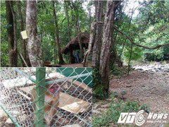 Đất rừng được 'hô biến' thành trang trại sai phép, 'quan huyện' đua nhau làm du lịch