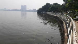 Hồ Tây: Như chưa hề xảy ra sự cố cá chết