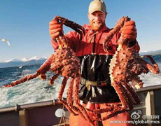 Nghề đặc biệt kiếm 650.000 USD trong 5 ngày