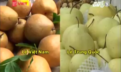 Cách đơn giản phân biệt lê Việt Nam và lê Trung Quốc
