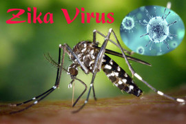 Sở Y tế TP.HCM chỉ đạo phòng chống bệnh do virus Zika