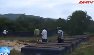 Hàng ngàn ngôi mộ bị đóng đinh ở Huế gây bức xúc