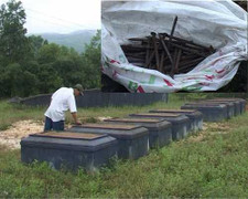 Hàng ngàn ngôi mộ bị đóng đinh ở Huế: Kẻ tình nghi khai gì?