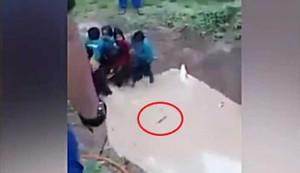 Nữ sinh khóc thét khi bị thả xuống hố nước đầy rắn để học kỹ năng sinh tồn