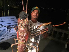 Video: Cận cảnh tôm hùm 'quái vật' khổng lồ ở vùng Tam giác quỷ Bermuda