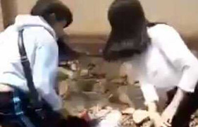 Ghét cái mặt 'vênh váo', hai nữ sinh nhảy vào đánh bạn cùng trường