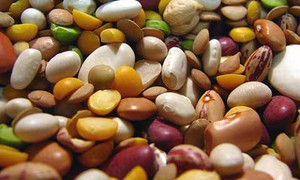 Ăn gì giúp chúng ta… hạnh phúc?