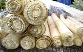 Thân cây chuối và những lợi ích đáng kinh ngạc