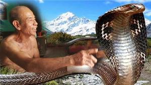 Sự thật chuyện rắn khổng lồ 'báo oán' ở công trường đường cao tốc Quảng Ninh