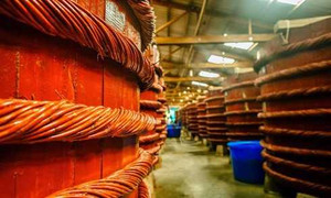 Thông tin về 'số phận' của Vinastas, ĐBQH: 'Chỉ nên đình chỉ tạm thời'