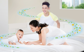 Cách tạo 'lá phổi' thanh lọc không khí trong ngôi nhà của bạn