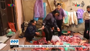 Clip tiểu thương giẫm đạp lên thịt, chặt xương bò trên nền đất bẩn