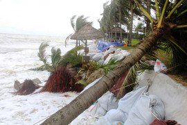 Video: Bờ biển Cửa Đại bị sóng biển đánh tan hoang