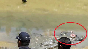 'Ma men' ngủ say như chết giữa bùn lầy