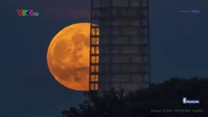 Ngày 14/11,Việt Nam có thể quan sát siêu trăng lớn nhất trong 70 năm